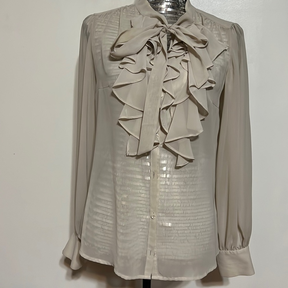 Nude Sheer Blouse